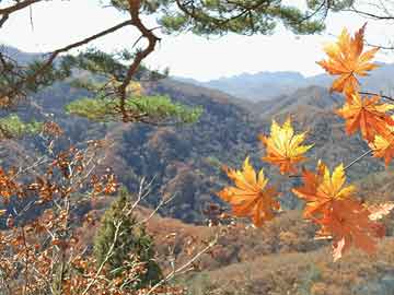 多家快递公司表示春节不停运，春节快递不打烊，多家快递公司宣布春节不停运服务